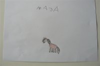 8. Źrebaczek - Maja B.