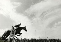 I Nagroda do lat 15 - Janusz Nowacki, Poznań, za całość prac